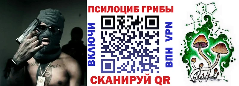 Псилоцибиновые грибы GOLDEN TEACHER  Луга 